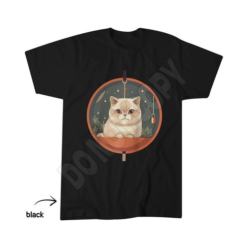 Exotic shorthair cat - exotic, christmas