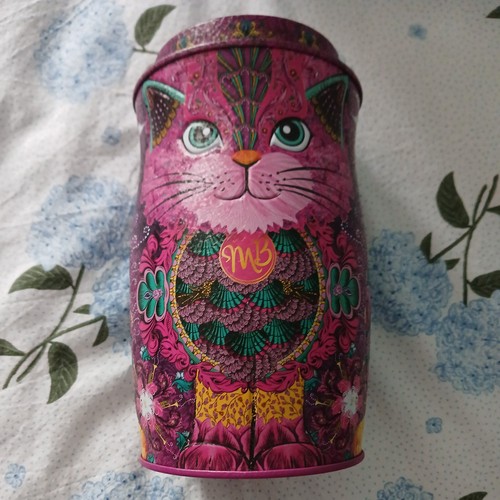 Monty bojangles cat - monty,