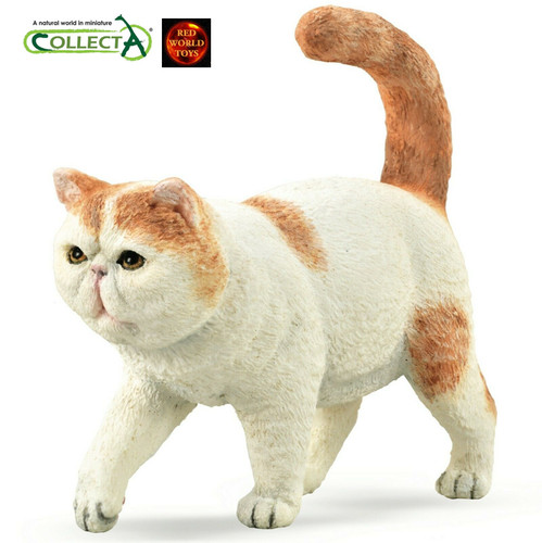 Exotic shorthair cat toy model - shorthair,