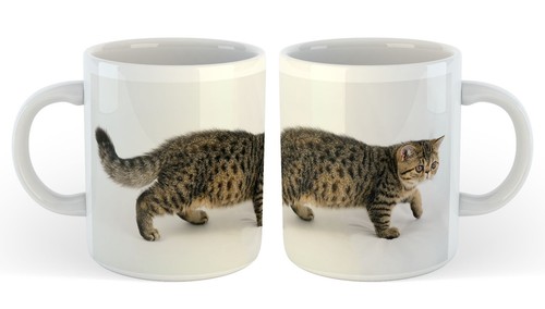 11oz ceramic mug - 11oz, exotic