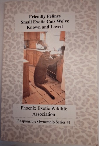 Friendly felines small exotic - friendly,