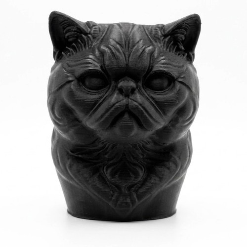 Exotic shorthair cat bust - exotic,