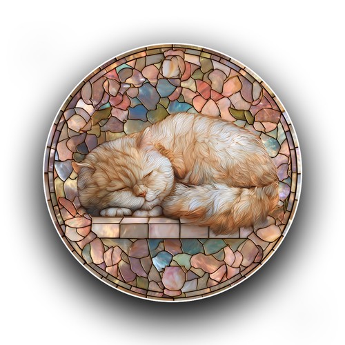 Exotic shorthair cat sleeping - shorthair,