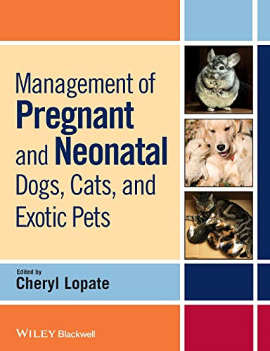 Management pregnant and - pregnant,