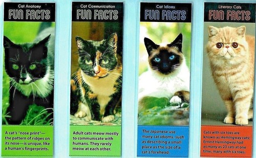 Black cat bookmark - black, siamese