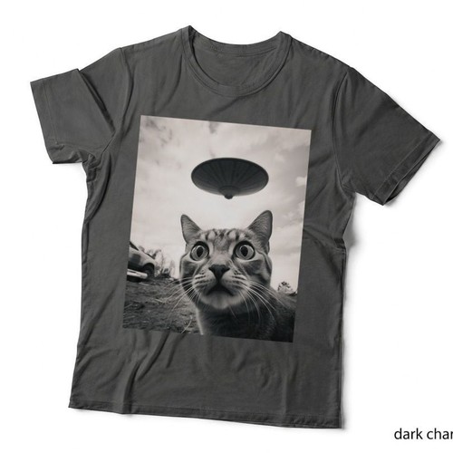 Funny cat photo - with, ufos