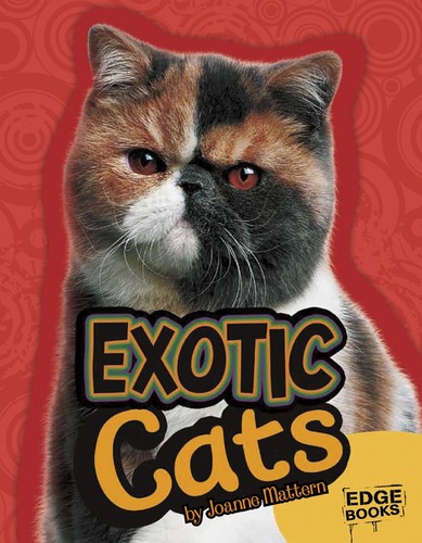 Exotic cats joanne mattern - joanne,
