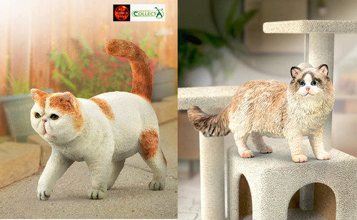 Cat breeds toy model figures - toy,