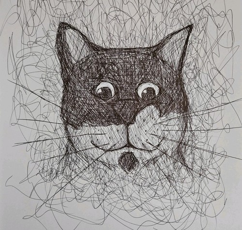 Cat prints hand draw - cat,