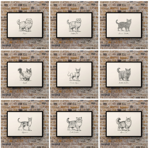 Cat breed art - cat, prints
