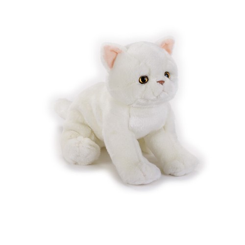 Plush cat exotic - short, hair