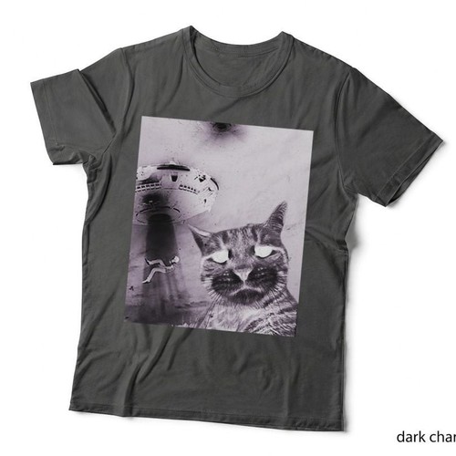 Funny cat photo with - funny,