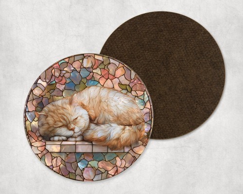 Exotic shorthair cat sleeping - shorthair,