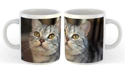 11oz ceramic mug cats - mug, -cats