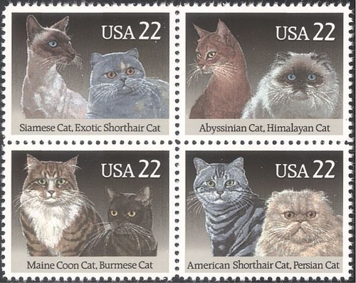 Usa 1988 - usa,