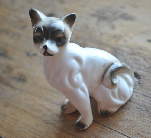 Vintage exotic siamese cat - exotic,